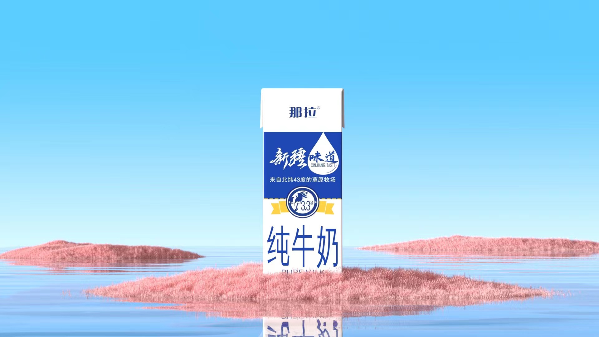 【上新了！】新品快來看看吧！